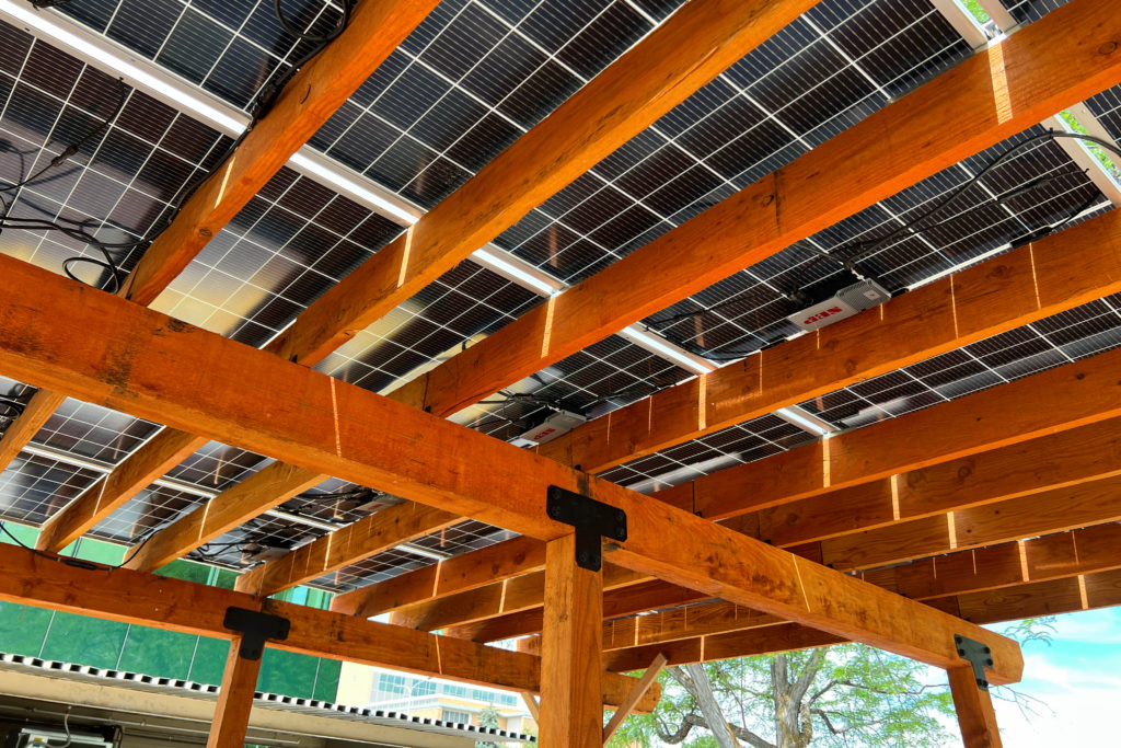Bifacial Solar Panels