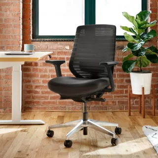 Branch Ergonomic Office