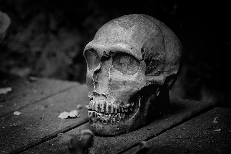 Moss from Human Skulls