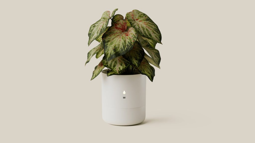 Leafypod Smart Planter