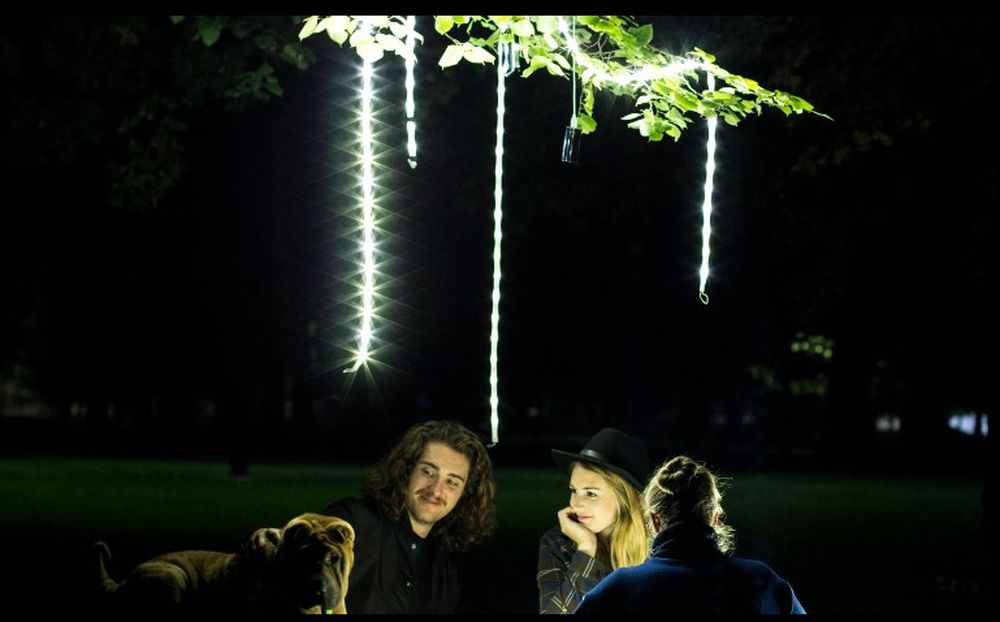 Luminoodle