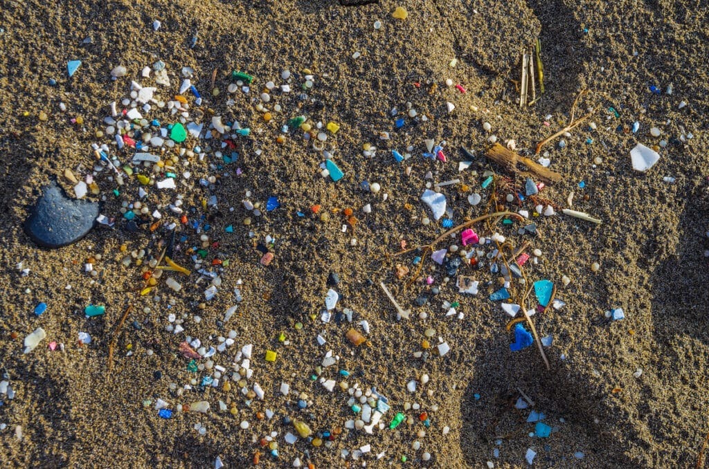 microplastic particles