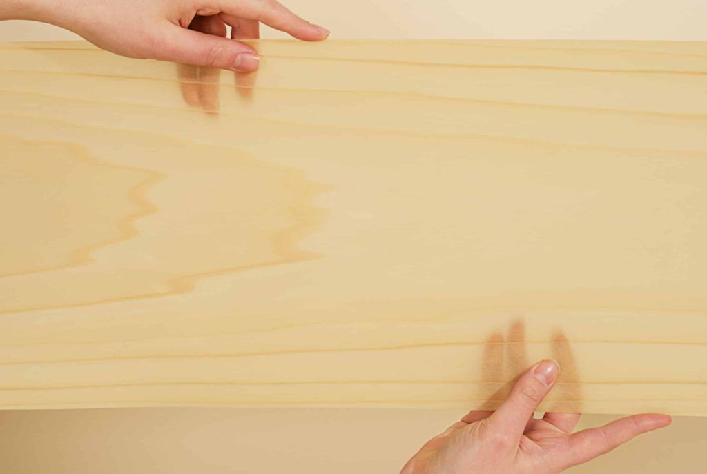 transparent wood
